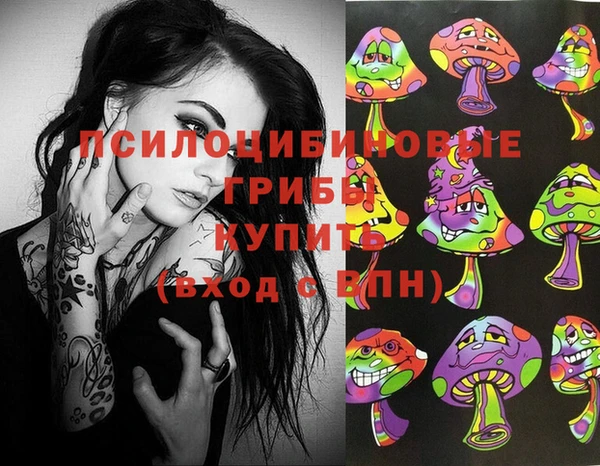 стафф Ельня